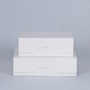 Papalote Grande Blanca